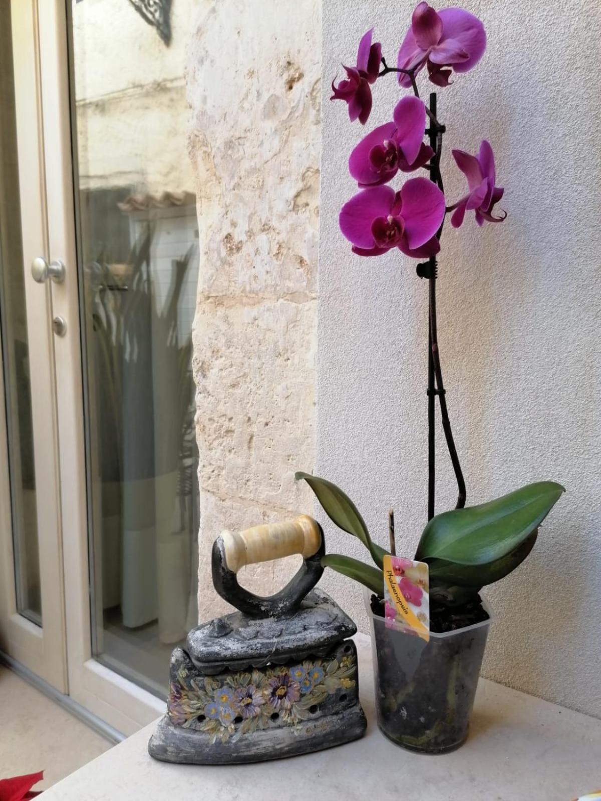דירות סירקוזה Ammira חדר תמונה